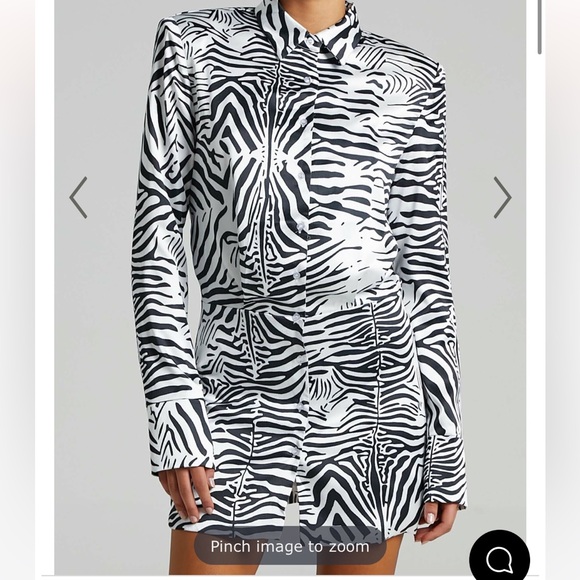 LIONESS - MIRROR IMAGE MINI DRESS IN ZEBRA - Picture 6 of 14